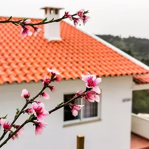 Hébergement de vacances O Refugio, Coïmbre